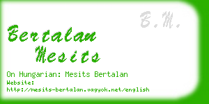 bertalan mesits business card